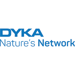 Dyka