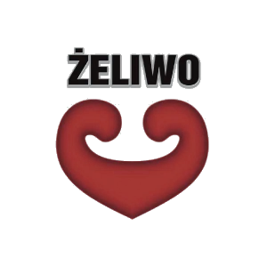 Żeliwo